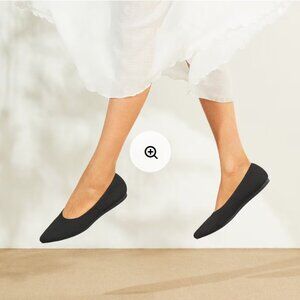 Pointed-Toe Ballet Flats (Aria 5°) Black